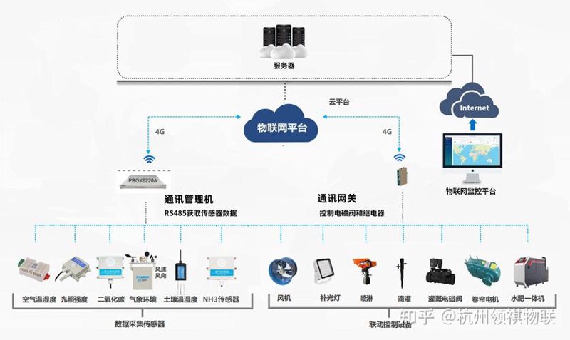 定制开发软件：企业发展的新引擎
